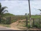 Beach Land for Sale - Uswetakeiyawa Pamunugama