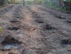 Nilaveli Beach Land for Sale
