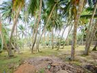Beach Land Property for sale in Beruwala