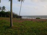 Beach Lands for Sale in Tangalle
