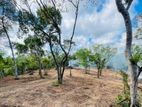 Beach Side Land - Dikwella