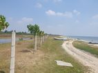 Beach Side Land for Sale in Kachchai, Kodikamam, Jaffna.
