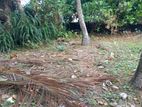 Beach side land for sale in Pohaddaramulla