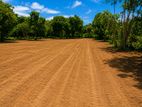 Beach Side Land for Sale in Tangalla