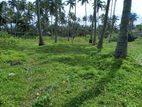 Beach side land for sale in Wadduwa Town