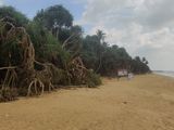 Beachfront Land Waskaduwa
