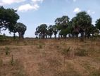 Beachfront Land for Sale – Adukkupaarai Beach, Trincomalee
