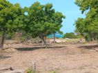 Beachfront Land for Sale – Arugam Bay (EM227)