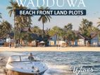 🌊🌴🐚 BEACHFRONT LAND FOR SALE