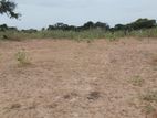 Land for Sale Nilaveli