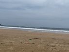 Beachfront Land for Sale in Dikwella