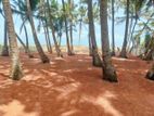 Beachfront Land for Sale in Kaluthara - Katukurunda