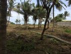 Beachfront Land for Sale in Pamunugama (C7-5373)