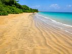 Beachfront Land for Sale in Pasikudah