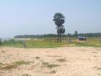 Beachfront Land for Sale in Passikudah