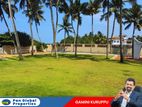 Beachfront Land For Sale in Wadduwa