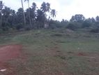 Beachfront Land for Sale - Kochchikade (EM1229)