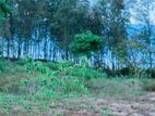 Beachfront Land for Sale Komari