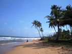 Beachfront Land for Sale - Kosgoda (EM723)