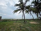 Beachfront Land for Sale – Marawila | LKR 32.5 Million (EM120)