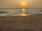 Beachfront Land For Sale Negombo (NK10232)