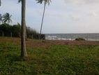 Beachfront Land for Sale – Pamunugama