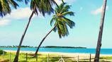 Beachfront Land for Sale - Pasikuda Sri Lanka