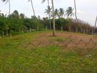 Beachfront Land for Sale – Uswetakeiyawa