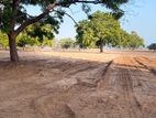 Beachfront Land Sale Trincomalee