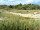 Beachside land for sale in Ambalantota , lunama