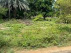 Beachside Land Fro Sale in Kalpitiya 160 Perches