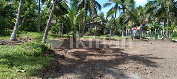 bear land for rent, Colombo