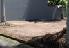 bear land for rent - Ansicht 3