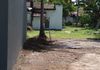 bear land for rent - Ansicht 4
