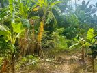Bear Land for Sale Amunugama Kandy