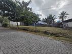 Bear Land for Sale