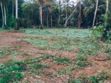 Land For Sale - Udugapola