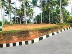 Beast valuable land for sale in panadura town