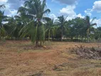 Beautiful Agricultural Land with House in Vavuniya.