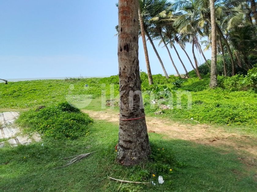 Beautiful Beach Front Land for Sale CL507 ikman