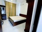 Beautiful Furnished House Dehiwala Rent