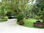 beautiful garden villa