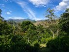 Beautiful Hotel Land in The Misty Hills of Haputale