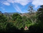 Beautiful Hotel Land in The Misty Hills of Haputale