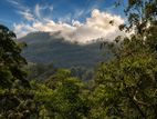 Beautiful Hotel Land in The Misty Hills of Haputale