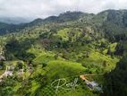 Beautiful Houses For Sale In Rozella