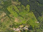 Beautiful Houses for sale in Rozella