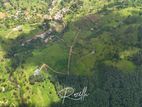 Beautiful Houses for Sale in Rozella