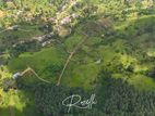 Beautiful Houses for sale in Rozella