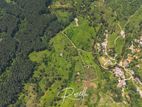 Beautiful houses for sale in Rozella